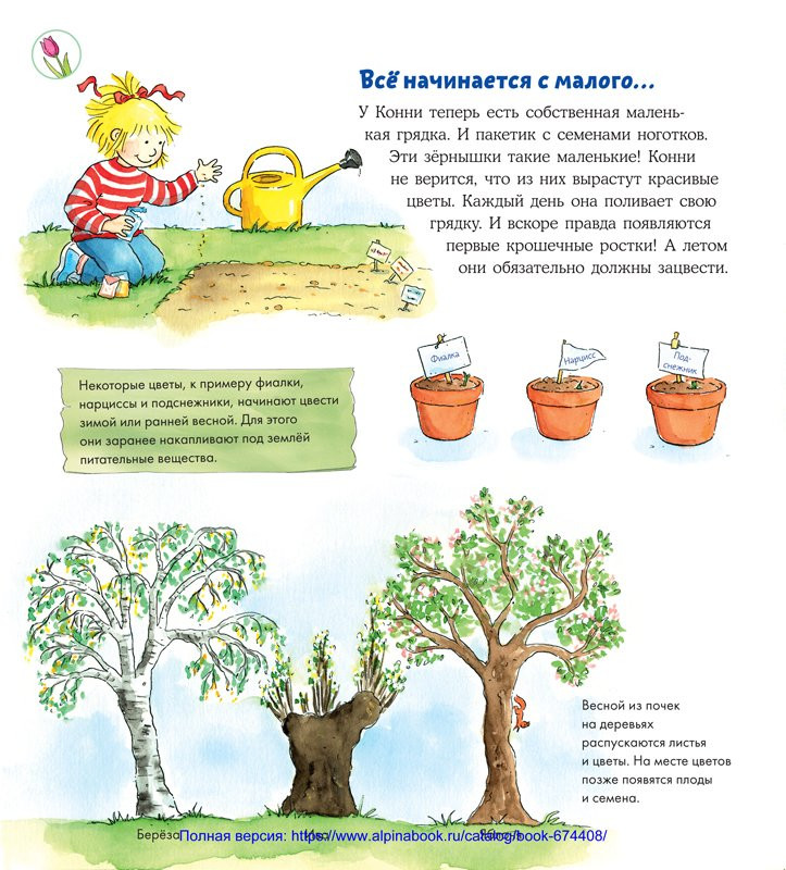 Шнайдер Лиана. Времена года с Конни. Книжка-картонка