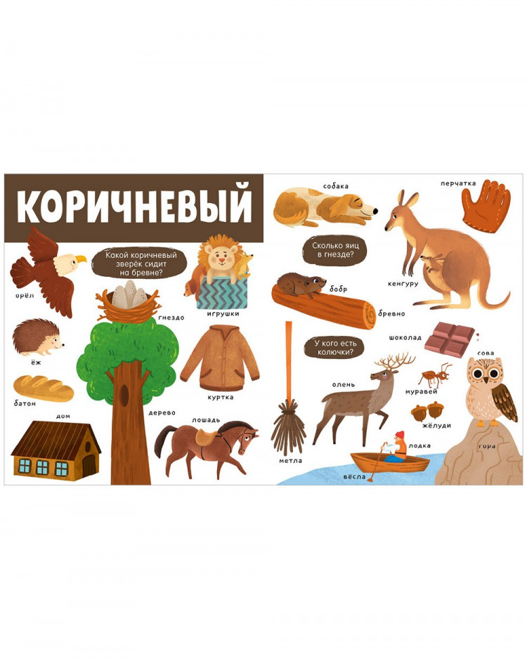 Найди и покажи. Большая книга. Цвета