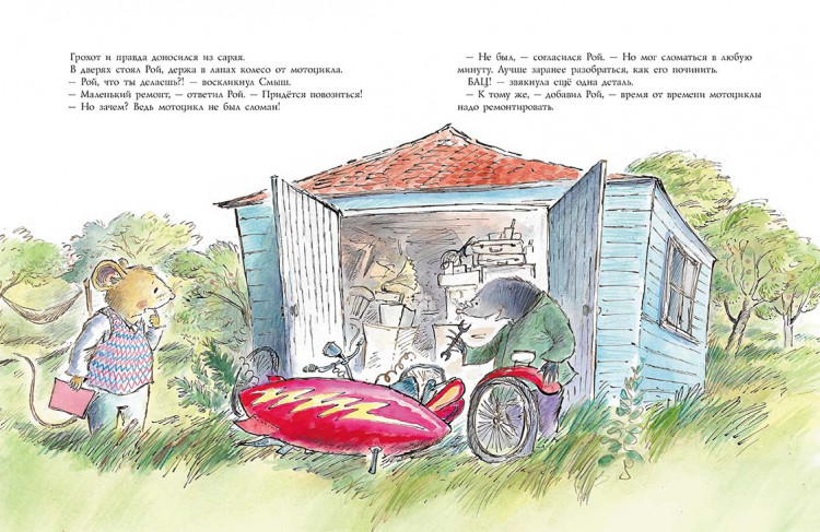 Данбар Джойс. Смыш и Рой. Время чудес
