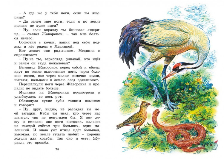 Бианки Виталий. Где раки зимуют. Сказки и рассказы