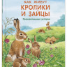 Райхенштеттер Фридерун. Как живут кролики и зайцы. Познавательные истории