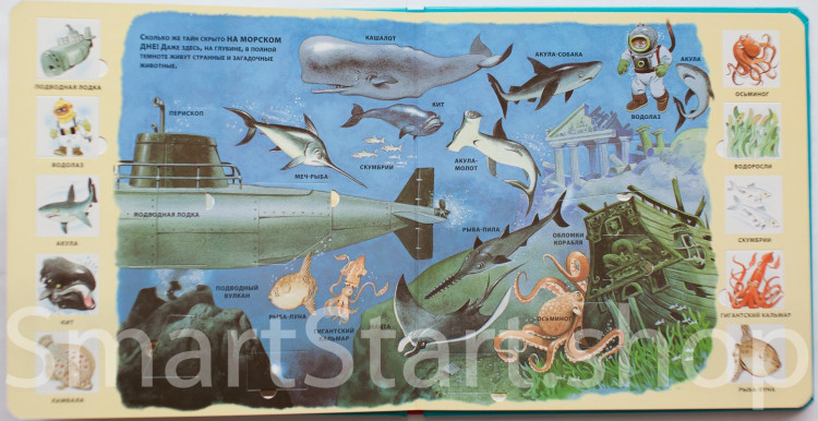 Вульф Тони. На море. 100 окошек для малышей