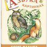 Бодрова Александра. Азбука в картинках