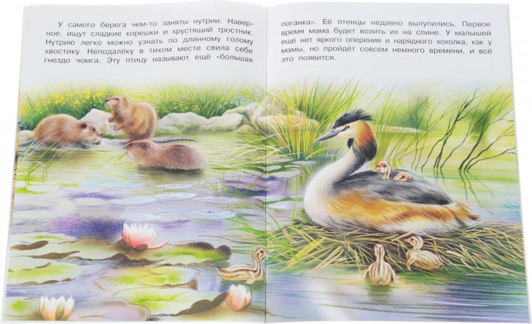 На реке
