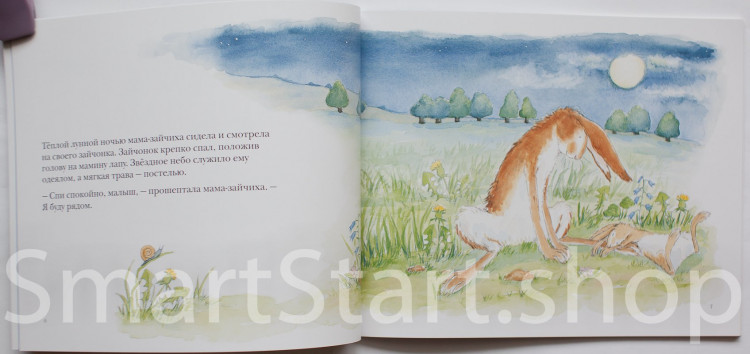 Кейв Шеридан. Куда уложить зайчонка?