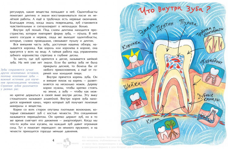 Патаки Хельга. Зубная книжка