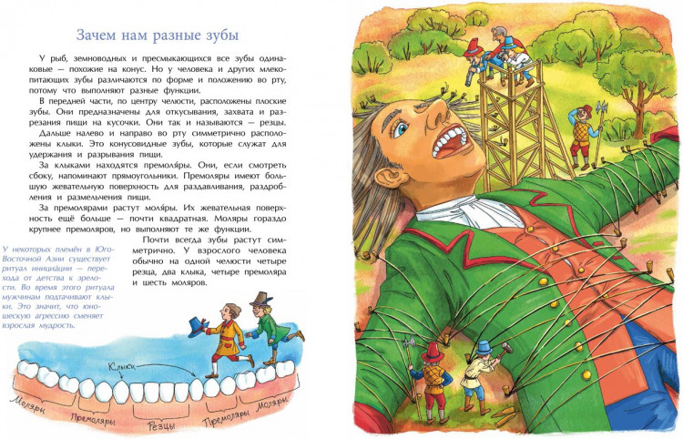 Патаки Хельга. Зубная книжка