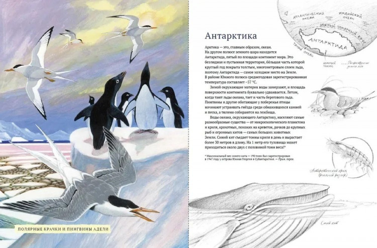 Арноски Джим. Дикий холод. Как животные выживают в самых холодных частях земли