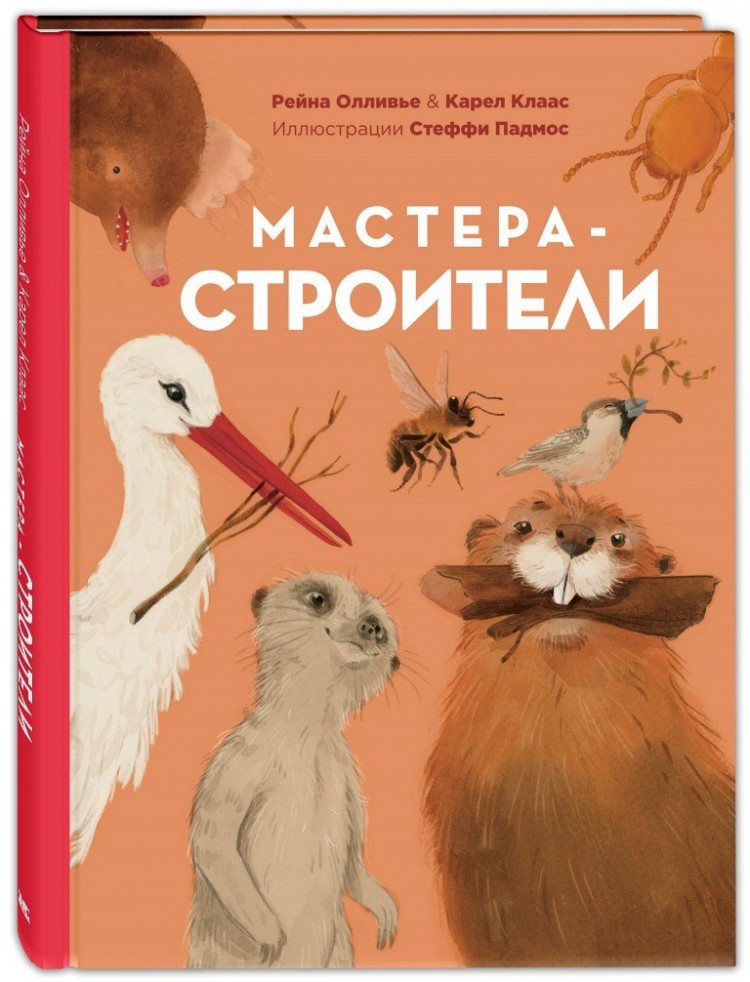 Олливье Рейна, Клаас Карел. Мастера-строители