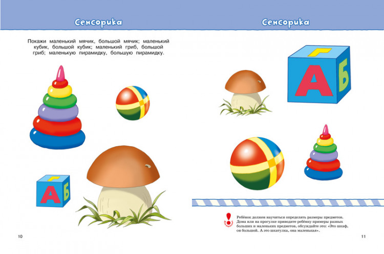 Земцова Ольга. Умные книжки 2-3 года. Что должен знать и уметь ребёнок. Тесты