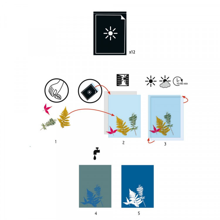 Набор бумаги для цианотипии (Cyanotype. Refill paper)