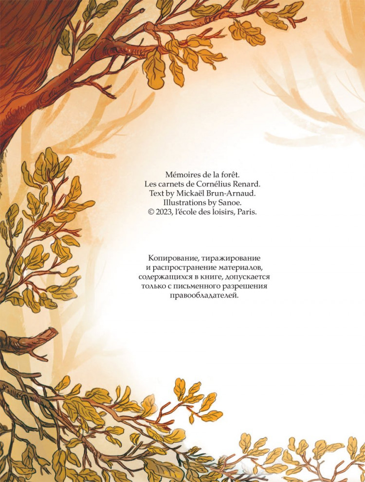 Брюн-Арно Микаэль. Записки из Зелёного Бора. Таинственные дневники Лиса Корнелия