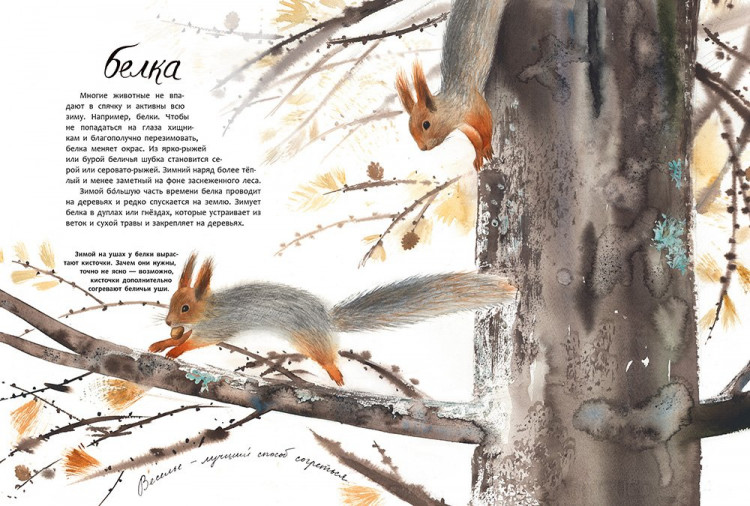 Фадеева Ольга. Здравствуй, зима!