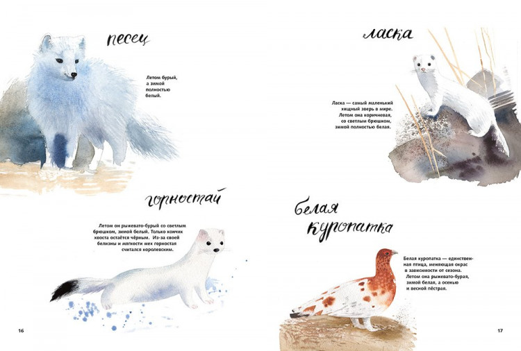 Фадеева Ольга. Здравствуй, зима!