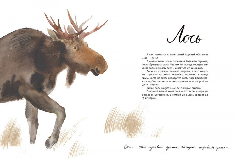 Фадеева Ольга. Здравствуй, зима!