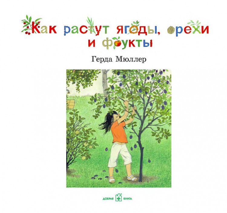Мюллер Герда. Как растут ягоды, орехи и фрукты?