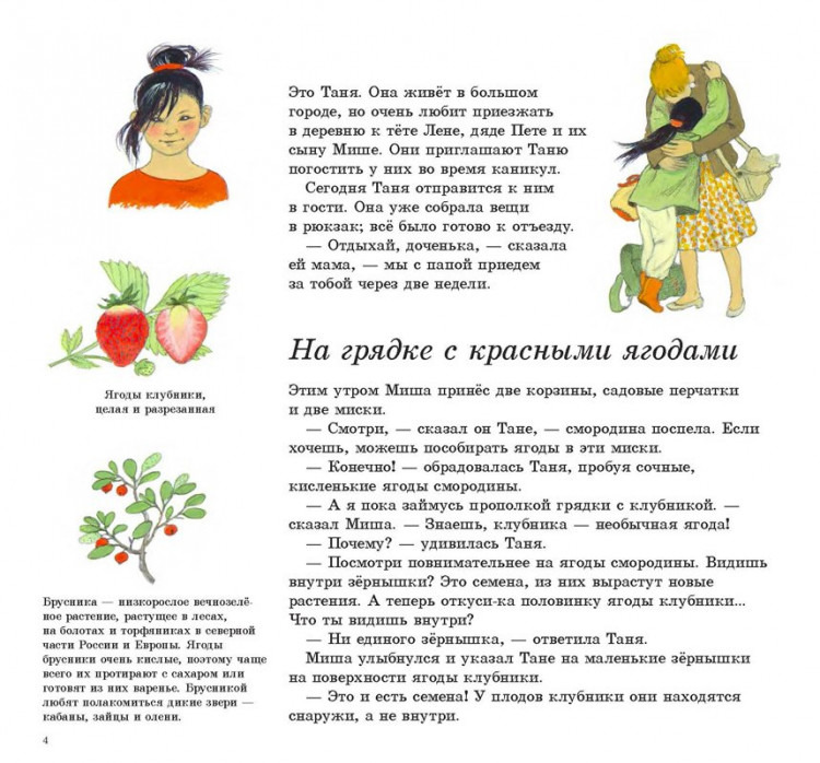 Мюллер Герда. Как растут ягоды, орехи и фрукты?