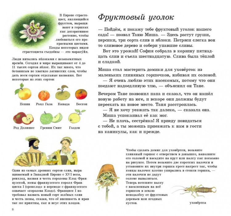 Мюллер Герда. Как растут ягоды, орехи и фрукты?