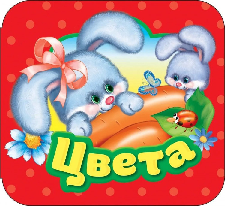 Книжка-гармошка. Цвета