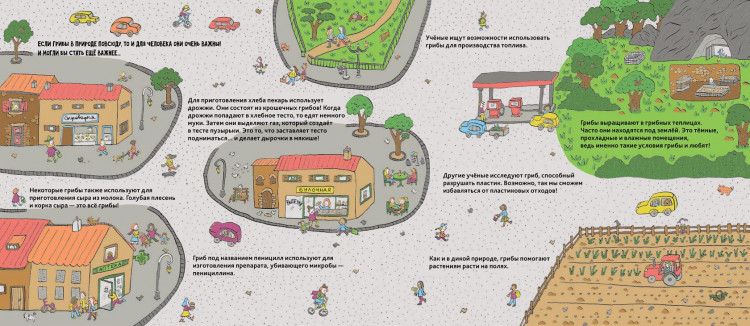 Пейн Полин. Грибы