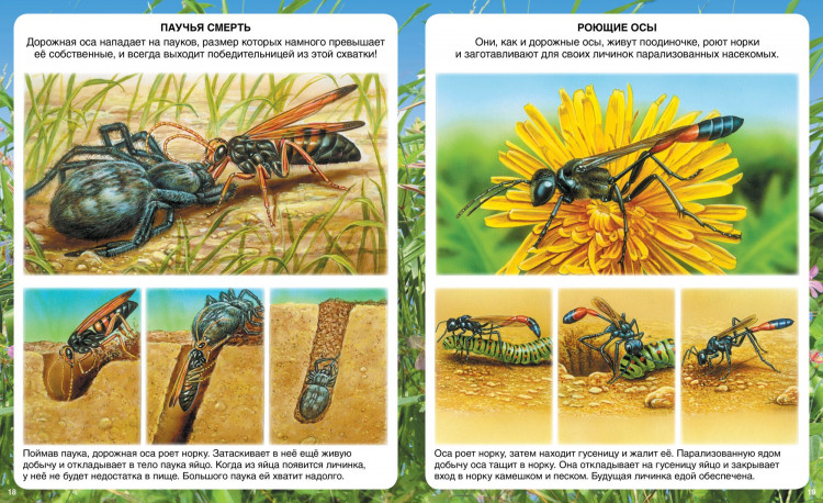 Самые маленькие животные