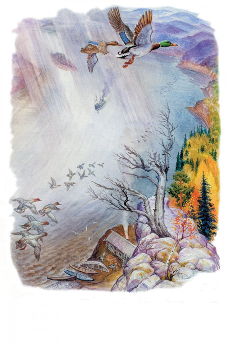 Астафьев Виктор. Конь с розовой гривой