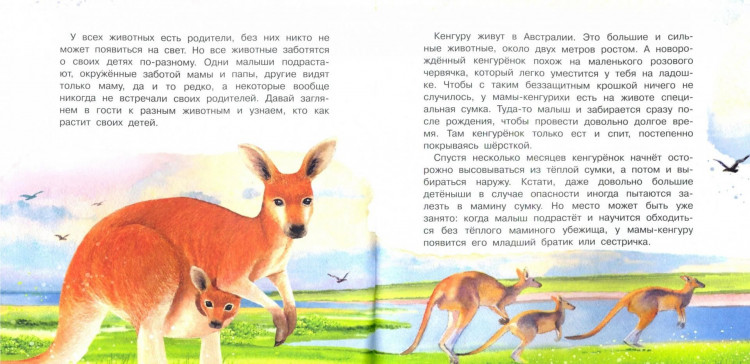 Смирнова Юлия. У кого какие детки