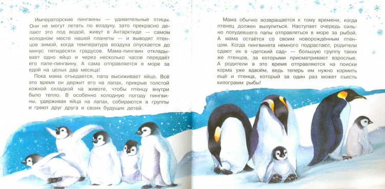 Смирнова Юлия. У кого какие детки