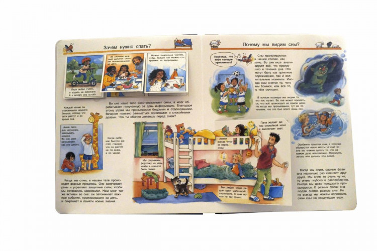 Что? Почему? Зачем? Всё про ночь (с волшебными окошками)