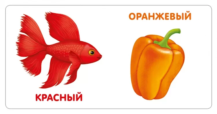 Моя самая первая книжка. Цвета в природе