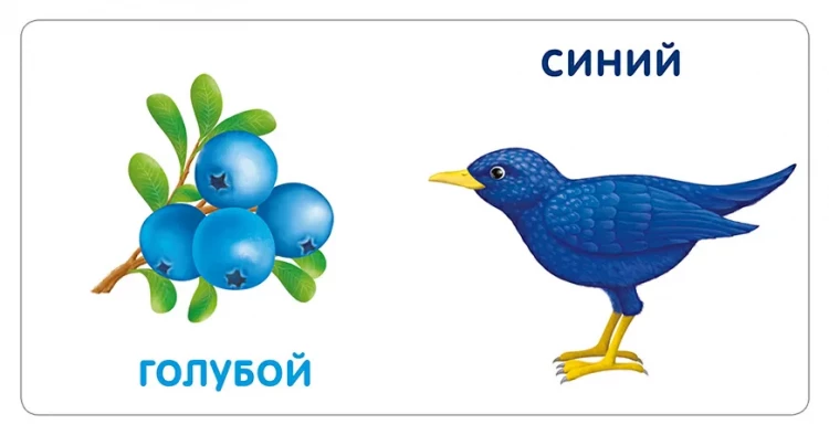 Моя самая первая книжка. Цвета в природе