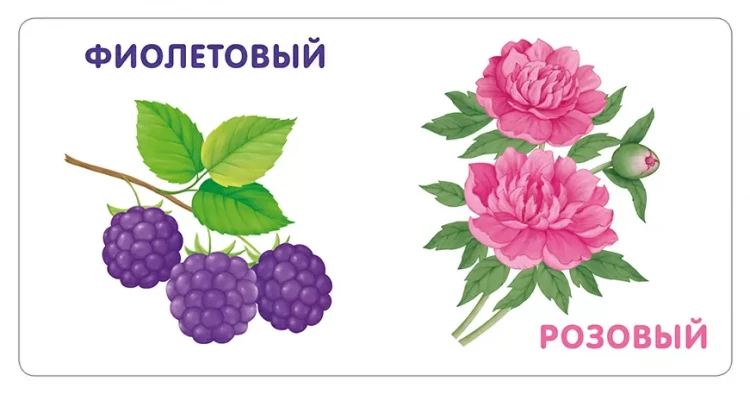 Моя самая первая книжка. Цвета в природе