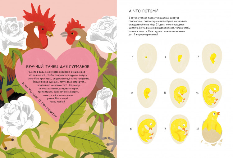 Курицеведение. Дачная энциклопедия