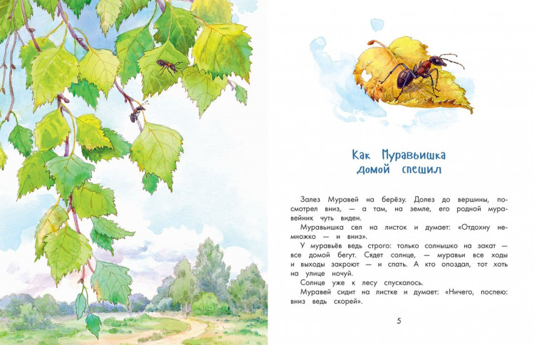 Бианки Виталий. Про Мишку и Муравьишку. Лесные рассказы