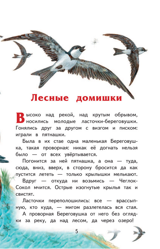 Бианки Виталий. Лесные домишки