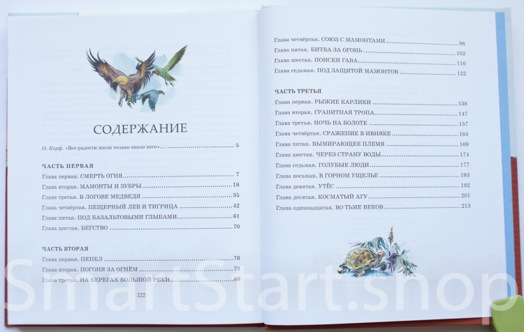 Рони-Старший Жозеф. Борьба за огонь