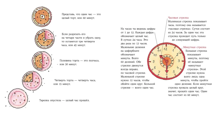 Шнайдер Лиана. Конни учится определять время
