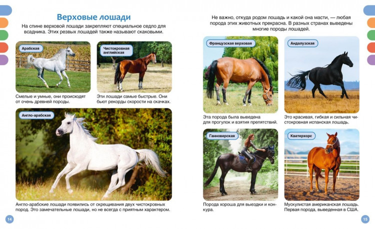 Лошади