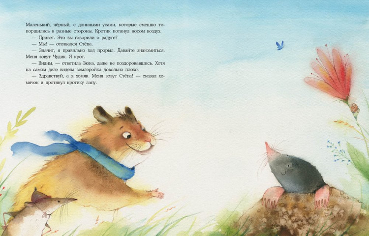 Шицкая Наталья. Радуга для Чудика