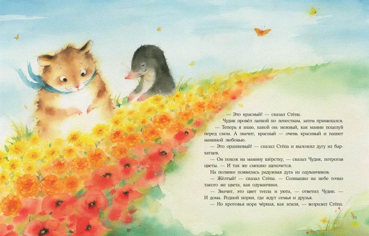 Шицкая Наталья. Радуга для Чудика