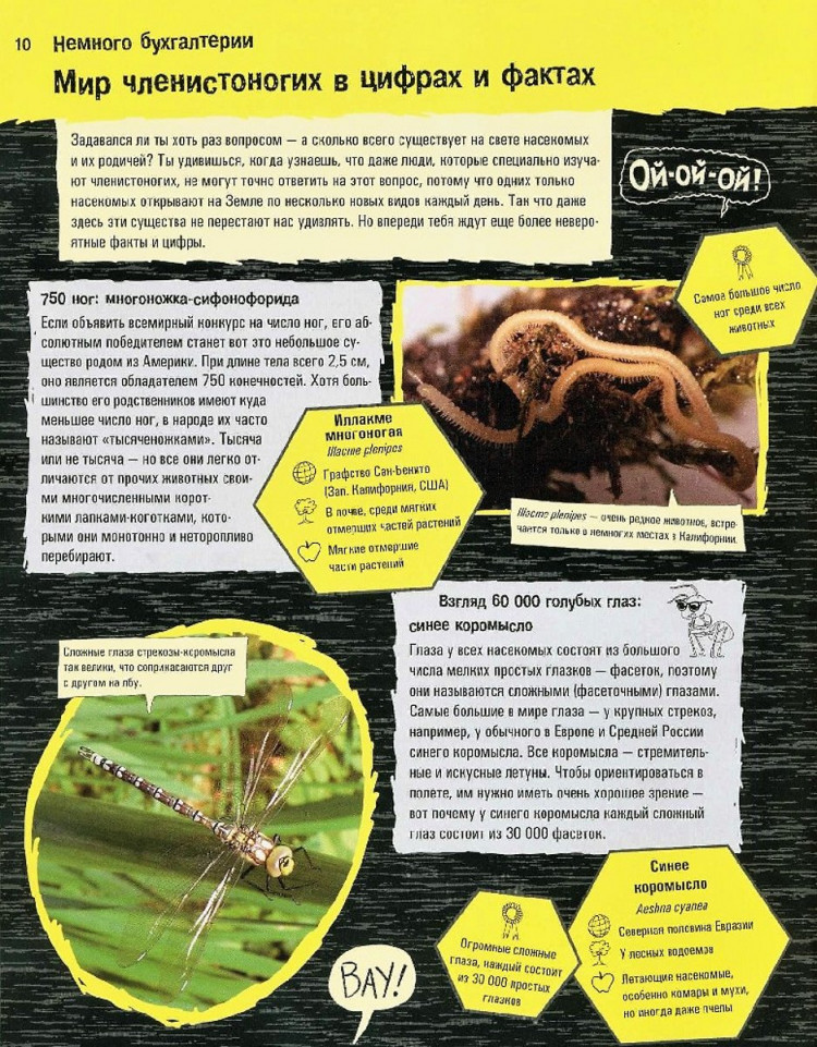 Лауманн Михаэль. Прекрасные и опасные: насекомые, пауки, скорпионы и прочие