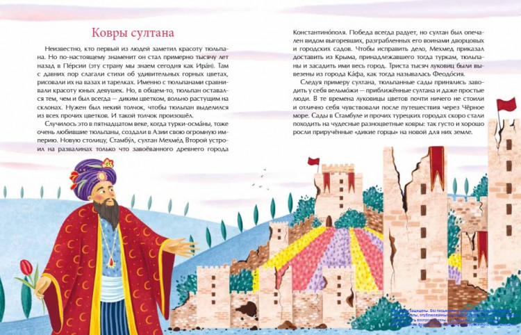 Назаркин Николай. Тюльпан. Цветок султанов и мельников