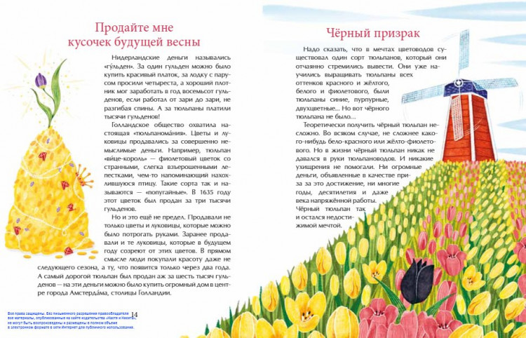 Назаркин Николай. Тюльпан. Цветок султанов и мельников