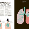 Дрювер Элен. Анатомия