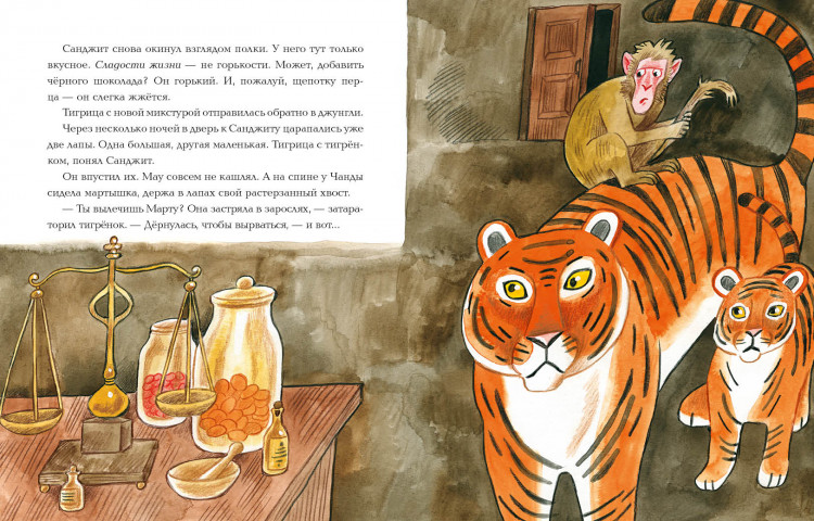 Сафронова Ольга. Лекарь Санджит Ваманкар