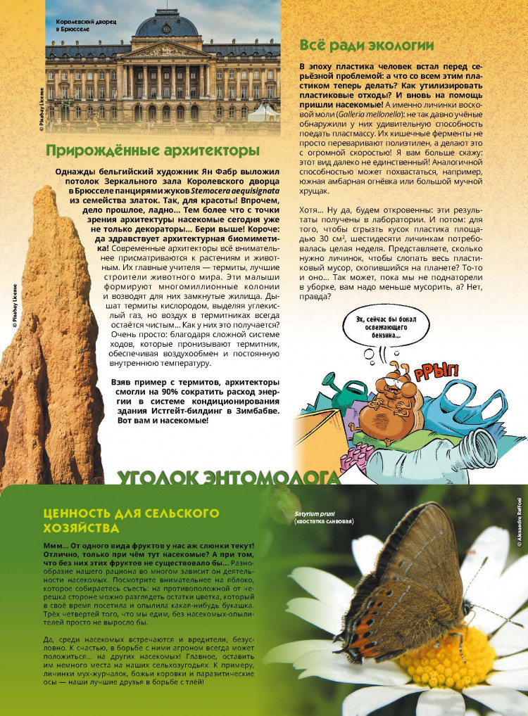 Кристоф Казнов. Насекомые в комиксах. Том 7