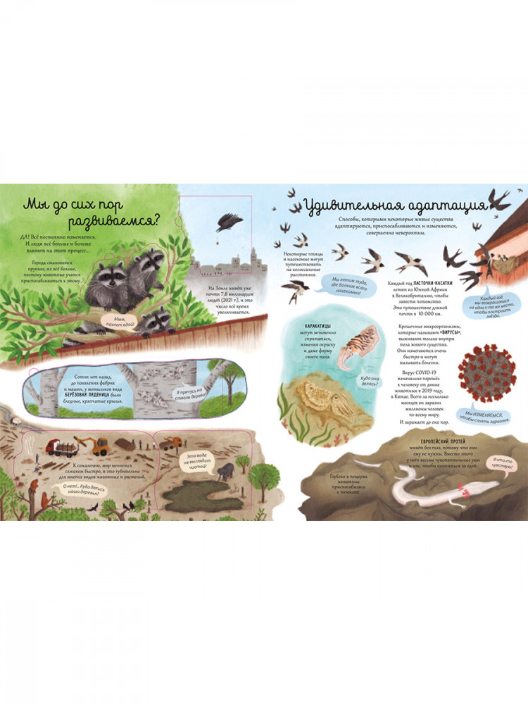 Открой тайны. Эволюция