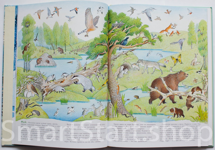 УЦЕНКА! Багин Петр. В лесу