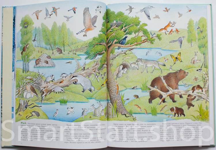 УЦЕНКА! Багин Петр. В лесу