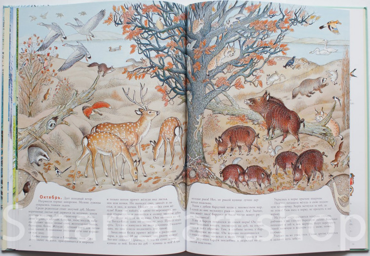 УЦЕНКА! Багин Петр. В лесу